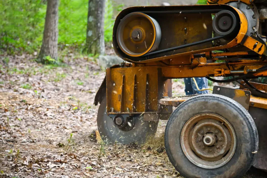 Stump Grinding Service Gloucester, Tewkesbury, and Northleach