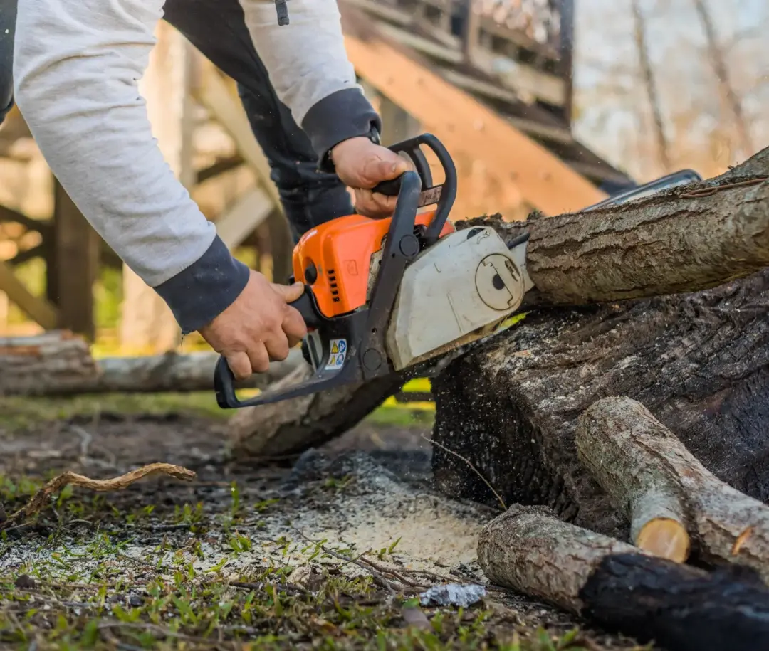 Safe and Controlled Tree Felling
