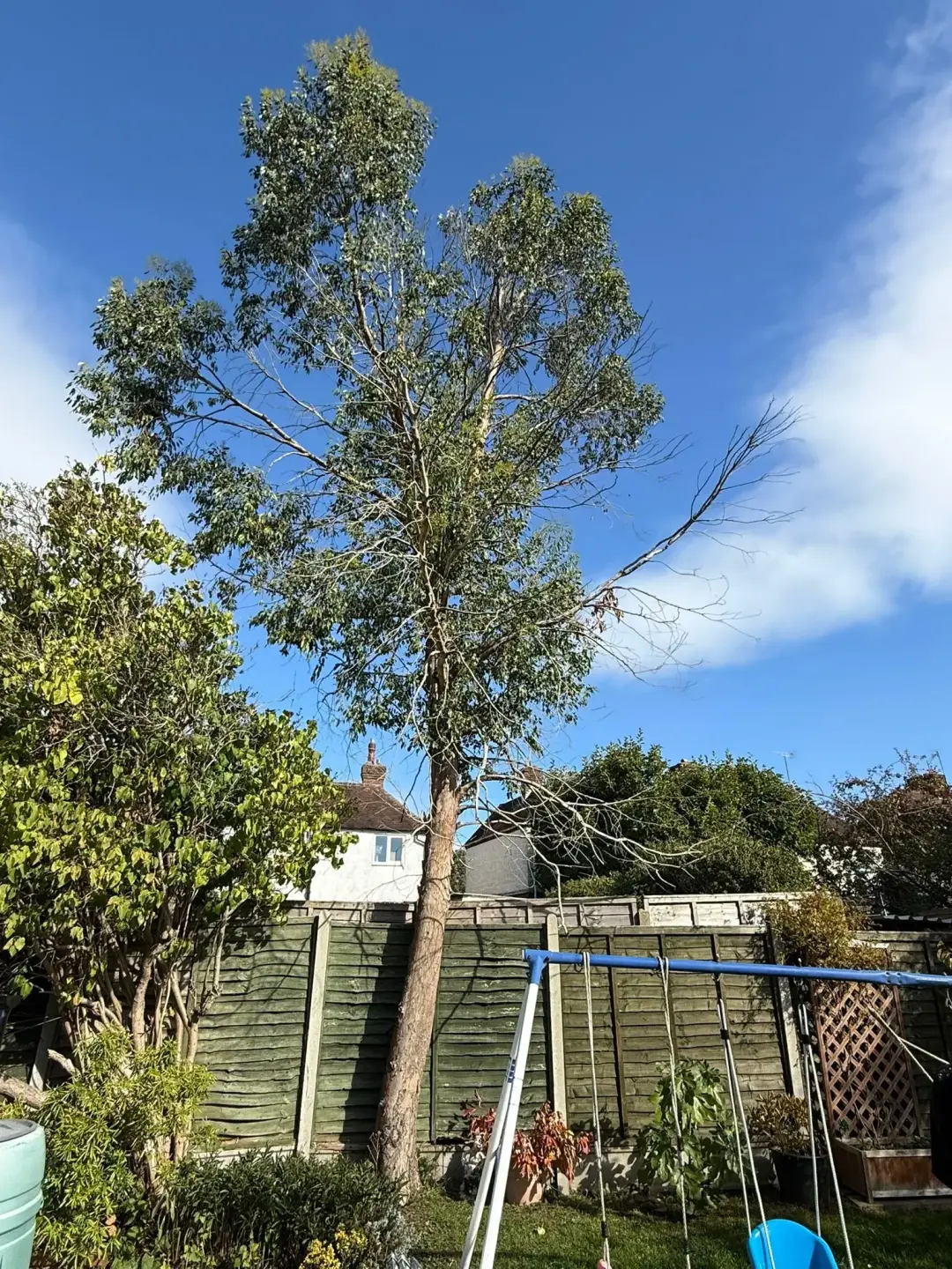 Safe Tree Care Gloucester, Tewkesbury, and Northleach