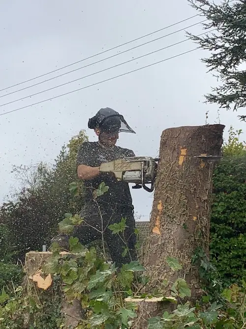 Stump Grinding Gloucester, Tewkesbury, Northleach